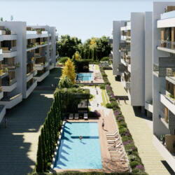 Conifer Elevate Your Lifestyle With Luxury Apartments