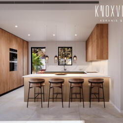 Knoxville Moden Kitchen